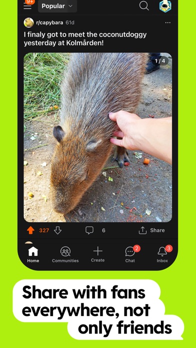 Reddit screenshot 2