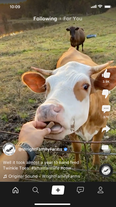 Clapper: Video, Live, Chat screenshot 4