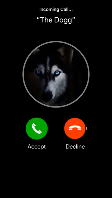 #1 Fake Call screenshot 1