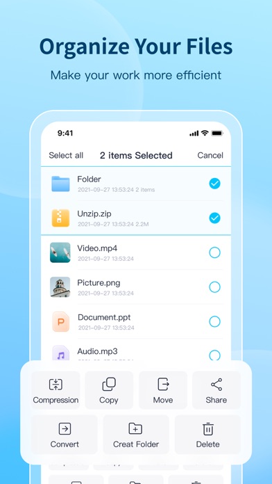 100ZG-Format Conversion screenshot 3