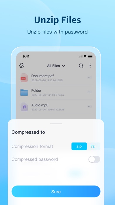 100ZG-Format Conversion screenshot 2