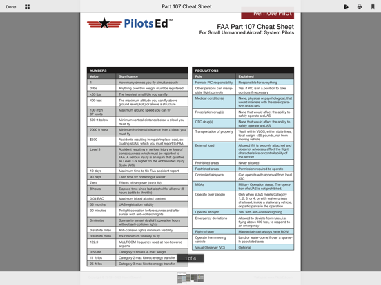 107 Pilot School screenshot 2