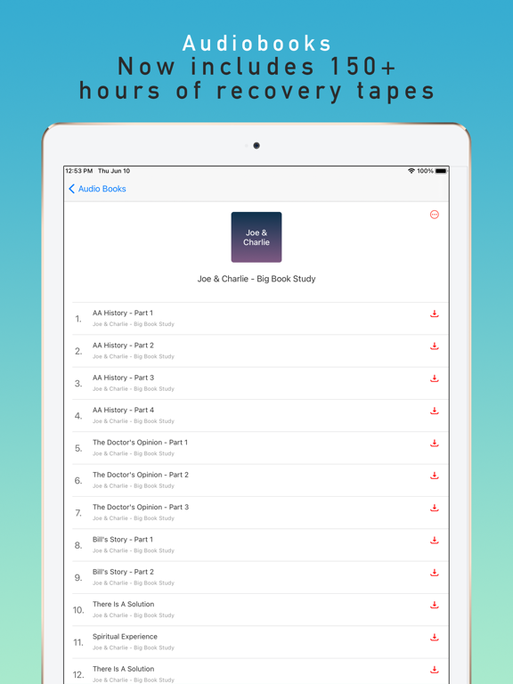 12 Steps Guide screenshot 10