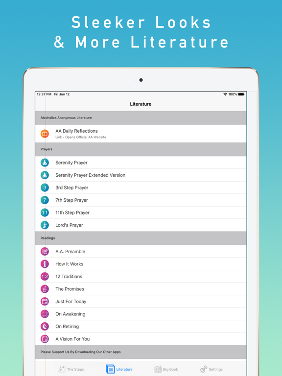12 Steps Guide screenshot 6