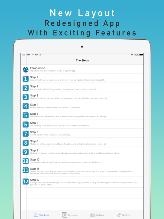 12 Steps Guide screenshot 8