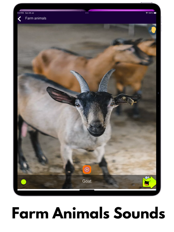 150+ Animal Sounds Lite screenshot 9