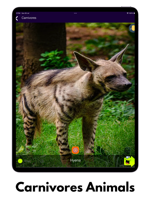 150+ Animal Sounds Lite screenshot 7