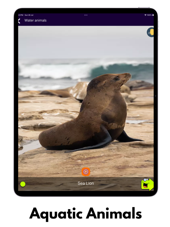 150+ Animal Sounds Lite screenshot 3