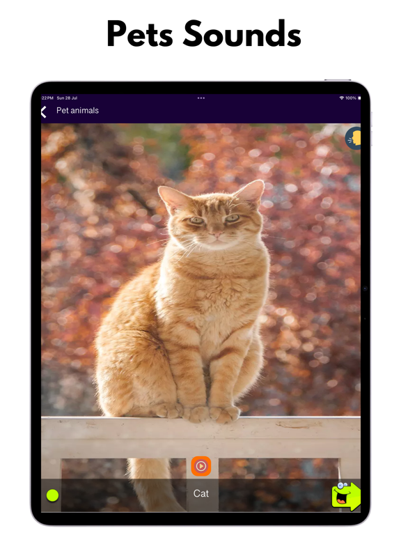 150+ Animal Sounds Lite screenshot 6