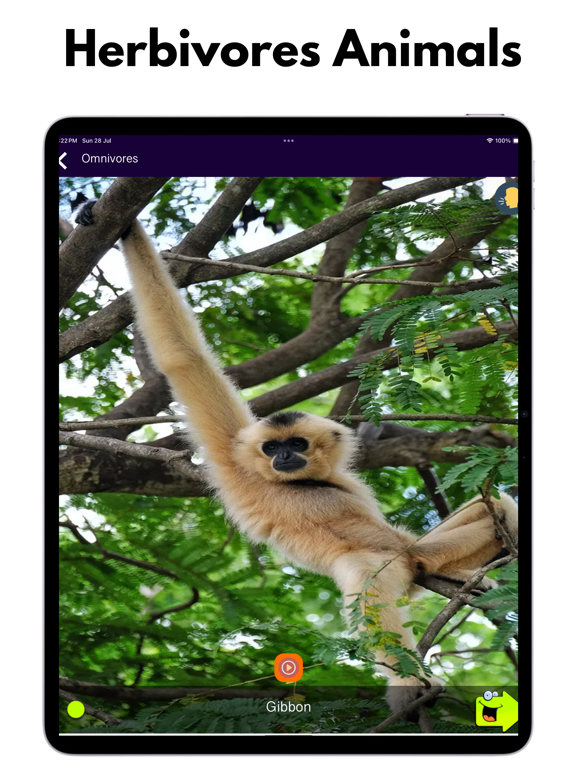150+ Animal Sounds Lite screenshot 4