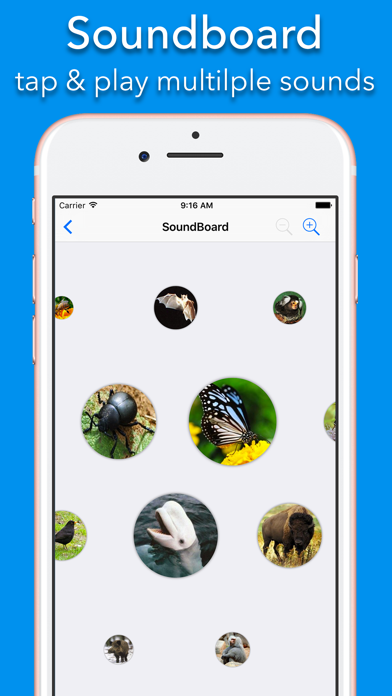 150+ Sounds of Animals screenshot 2