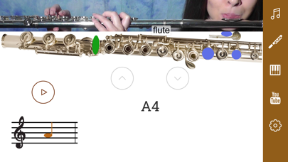 2D Flute Fingering Chart screenshot 5