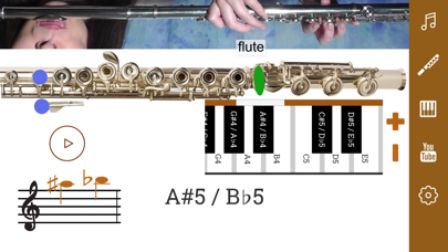 2D Flute Fingering Chart screenshot 3
