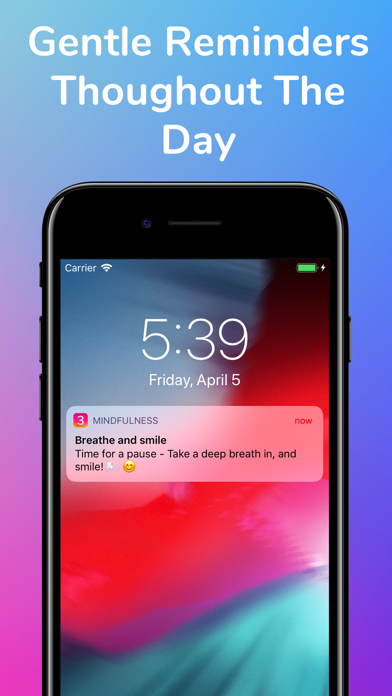 3 Minute Mindfulness screenshot 3