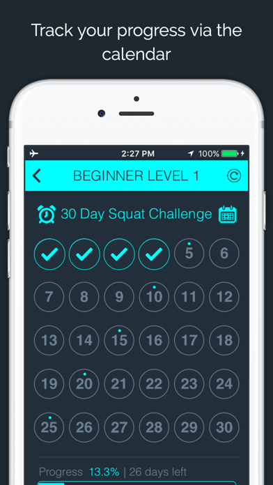 30 Day - Squat Challenge screenshot 4