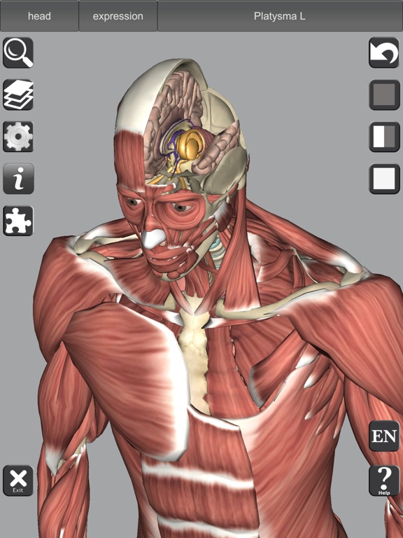 3D Bones and Muscles (Anatomy) screenshot 9
