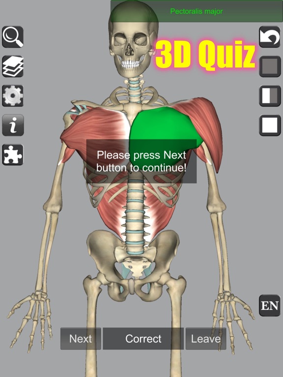 3D Bones and Muscles (Anatomy) screenshot 2