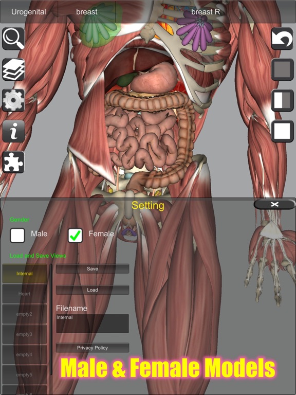 3D Bones and Muscles (Anatomy) screenshot 1
