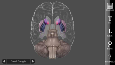 3D Brain screenshot 4