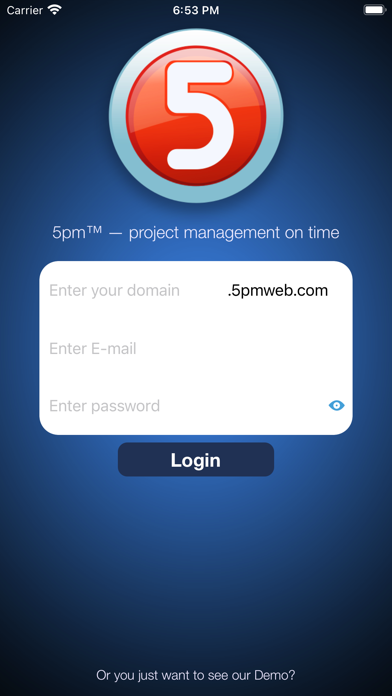 5pm Project Management on Time screenshot 5