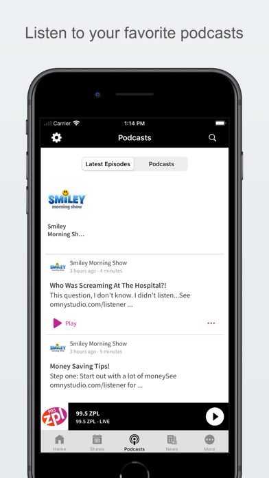 99.5 ZPL screenshot 2