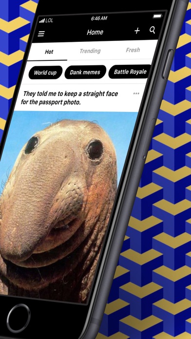 9GAG: Best LOL Pics & GIFs screenshot 4