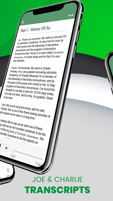 AA Joe & Charlie Big Book Work screenshot 3