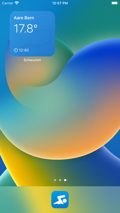 Aare Schwumm screenshot 3