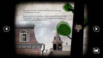 About Owls screenshot 4