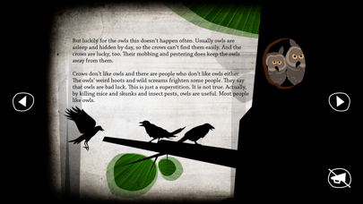 About Owls screenshot 2