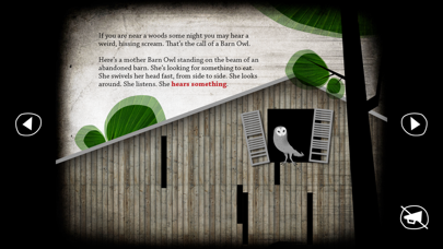 About Owls screenshot 1