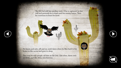 About Owls screenshot 3