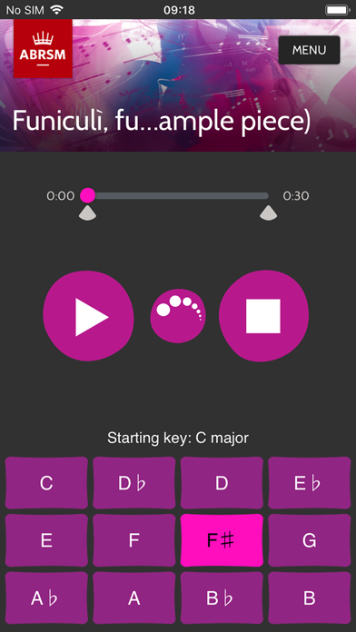 ABRSM Singing Practice Partner screenshot 5