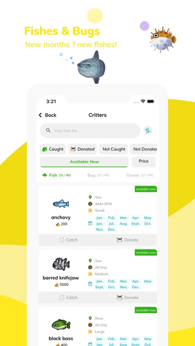 AC Fan - ACNH Community screenshot 1