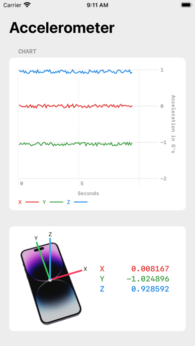 Accelerometer ∞ screenshot 1