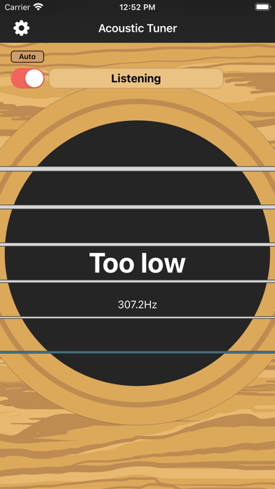 Acoustic Tuner screenshot 2