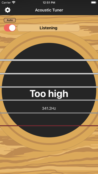 Acoustic Tuner screenshot 1