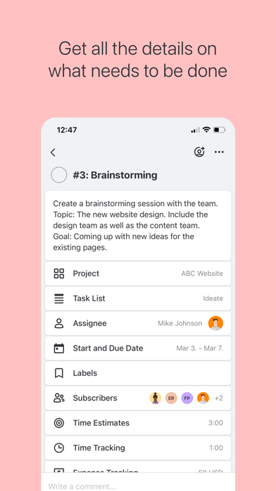 ActiveCollab: Work Management screenshot 3