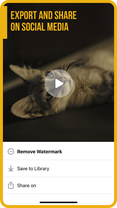 Add Music to Video :cut editor screenshot 2