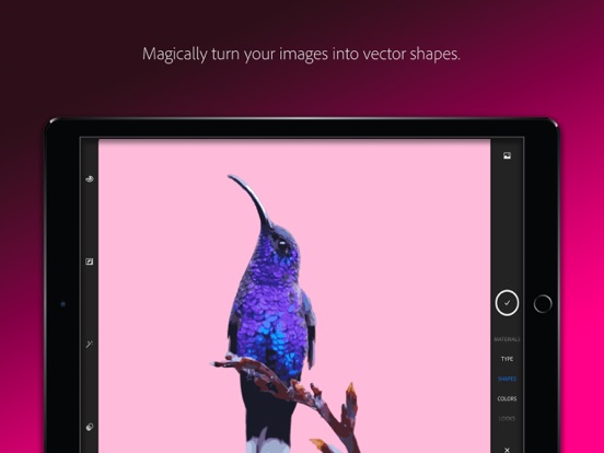 Adobe Capture: Illustrator, Ps screenshot 9