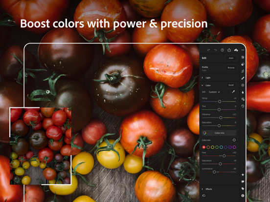 Adobe Lightroom for iPad screenshot 2