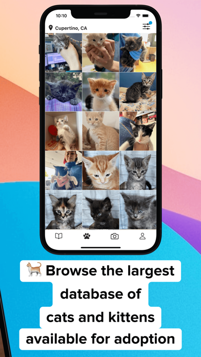 Adopt a Pet - MeowBuddy screenshot 5