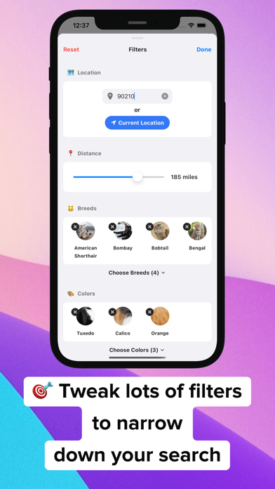 Adopt a Pet - MeowBuddy screenshot 4