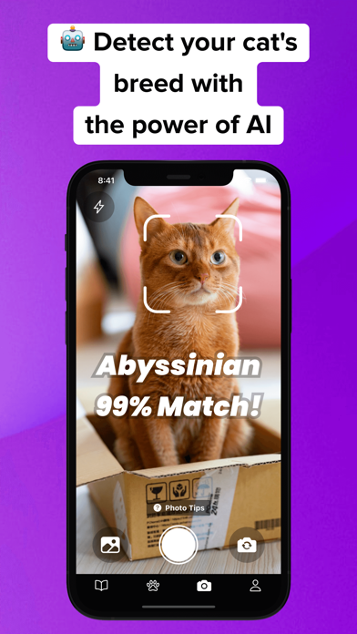 Adopt a Pet - MeowBuddy screenshot 2