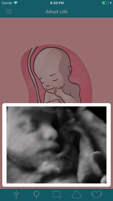 Adopt Life screenshot 1
