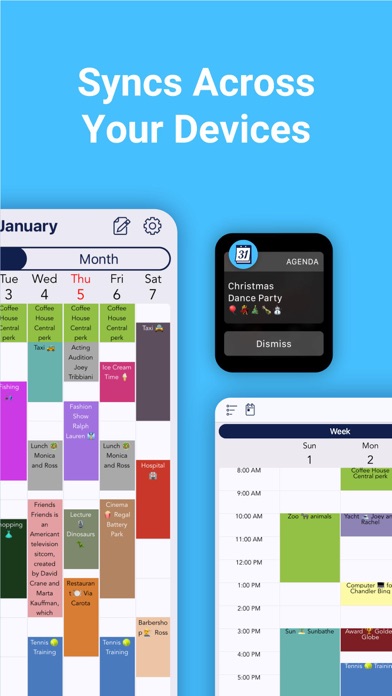 Agenda: Planner, Notes & Tasks screenshot 1