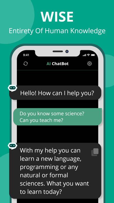 AI Chatbot screenshot 2