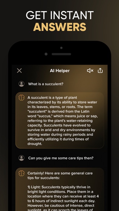 AI Gemini: Smart Solver Chat screenshot 2