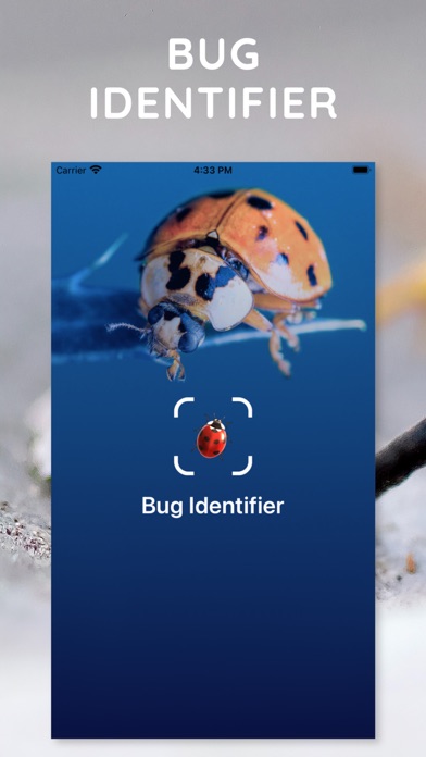 AI Photo App - Bug Identifier screenshot 4