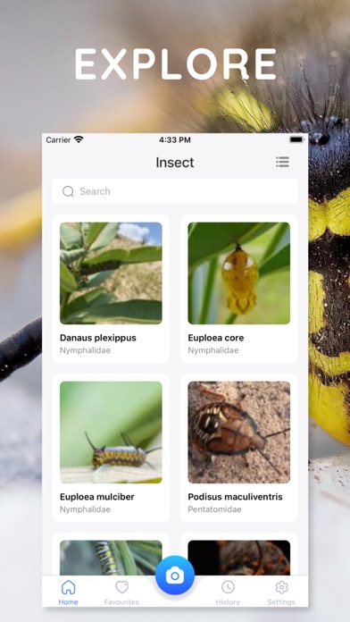 AI Photo App - Bug Identifier screenshot 2